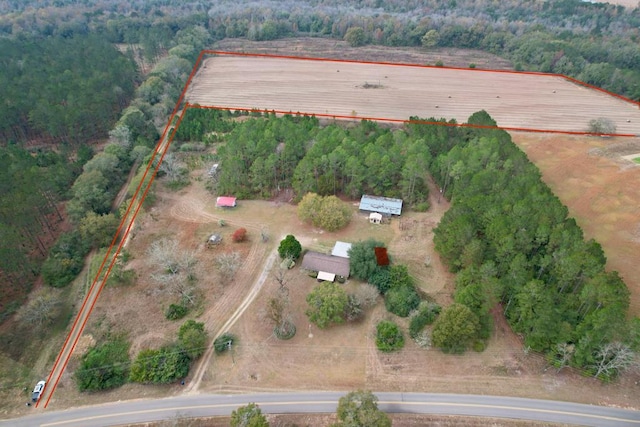 1041 County Road 73, Slocomb AL, 36375 land for sale