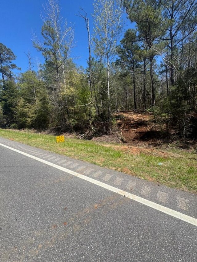 0 Western Byp, Clayton, AL 36016 - photo 13
