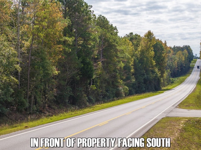 0 Western Byp, Clayton, AL 36016 - photo 2