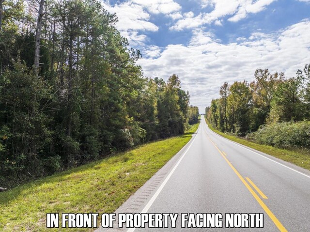 0 Western Byp, Clayton, AL 36016 - photo 1