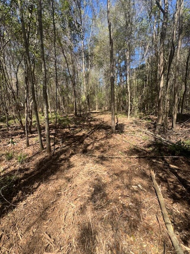 0 Western Byp, Clayton, AL 36016 - photo 18