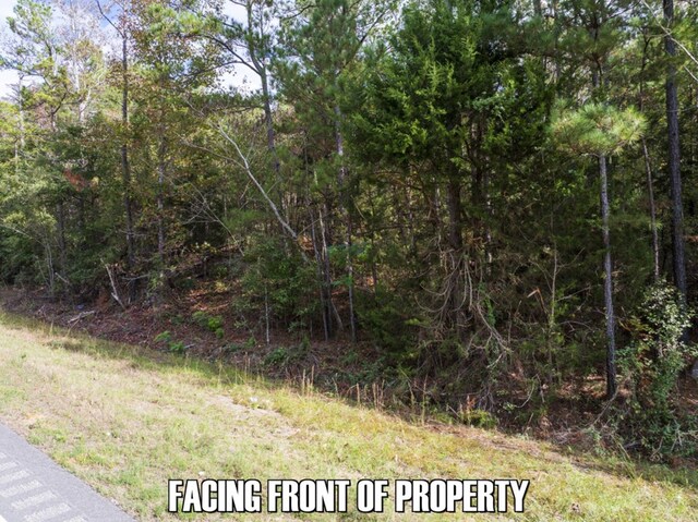 0 Western Byp, Clayton, AL 36016 - photo 8