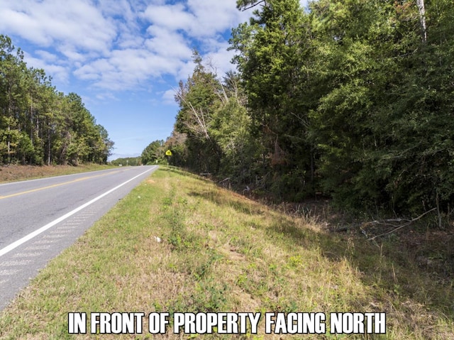 0 Western Byp, Clayton, AL 36016 - photo 7