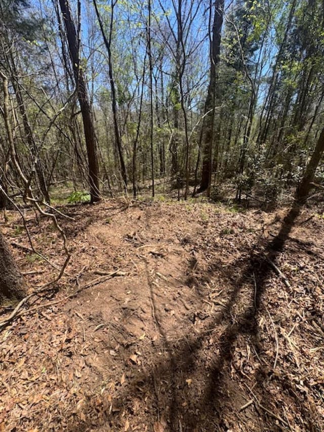 0 Western Byp, Clayton, AL 36016 - photo 15