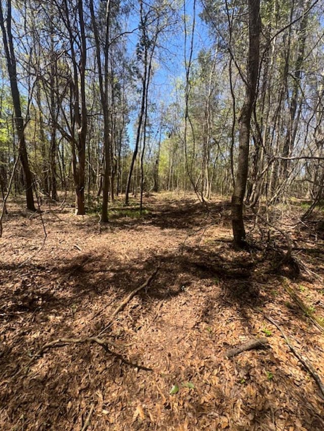 0 Western Byp, Clayton, AL 36016 - photo 19