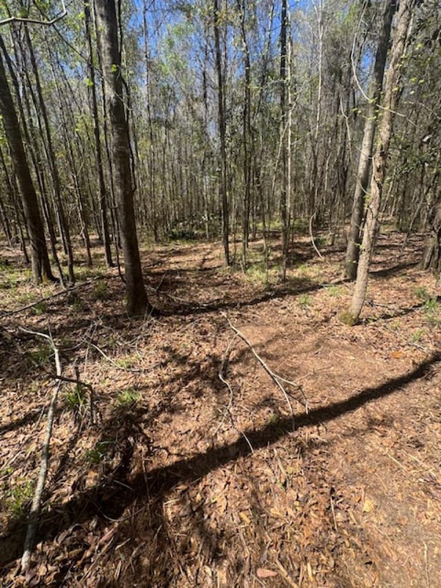0 Western Byp, Clayton, AL 36016 - photo 16