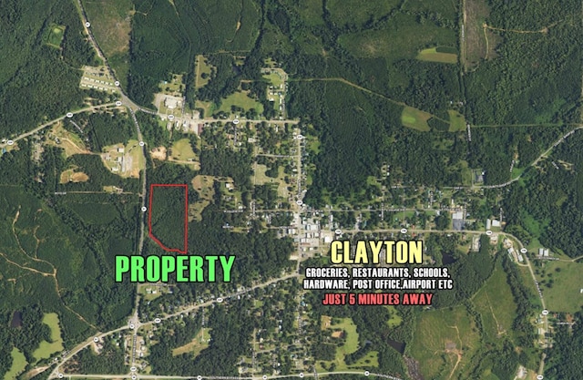 0 Western Byp, Clayton, AL 36016 - photo 10