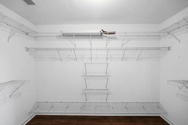 spacious closet featuring dark wood-style floors and visible vents