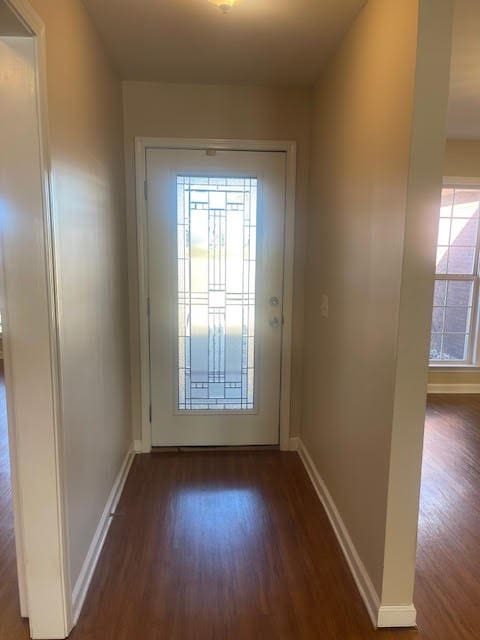 entryway with dark hardwood / wood-style flooring