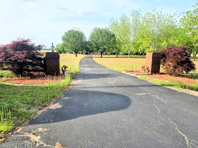 2230 W County Road 16, Headland, AL 36345 - view of road with driveway