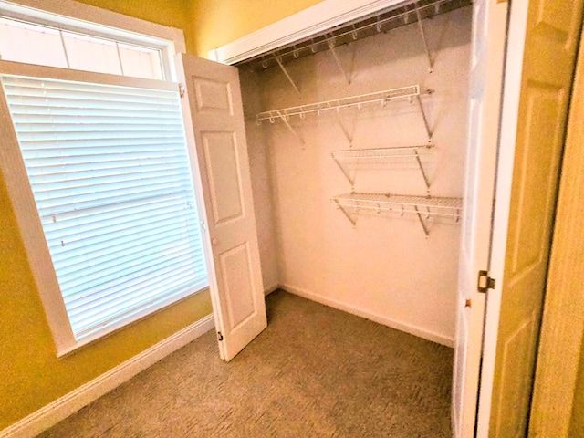 2230 W County Road 16, Headland, AL 36345 - view of closet