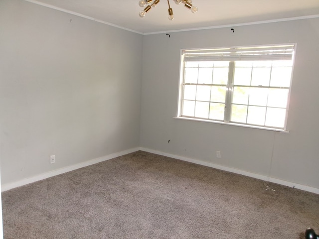 5559 N County Road 69, Newton, AL 36352 - carpeted spare room with crown molding and baseboards
