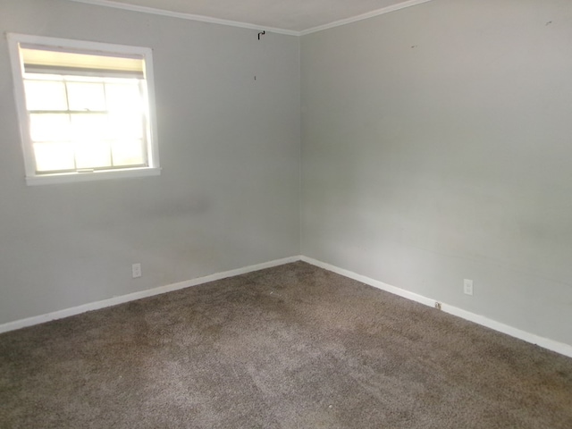 5559 N County Road 69, Newton, AL 36352 - carpeted spare room with ornamental molding and baseboards