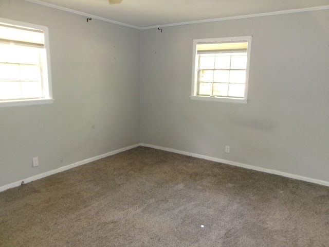 5559 N County Road 69, Newton, AL 36352 - unfurnished room featuring plenty of natural light, carpet flooring, crown molding, and a ceiling fan