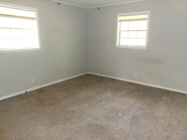 5559 N County Road 69, Newton, AL 36352 - empty room featuring crown molding and carpet floors