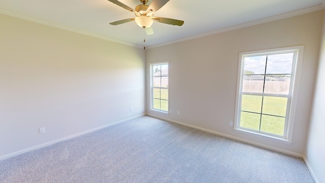 carpeted spare room featuring ceiling fan and crown molding