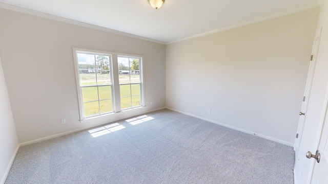 carpeted spare room with ornamental molding