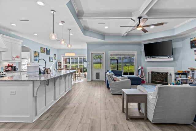 213 Archer Trl, Enterprise, AL 36351 - living area featuring a ceiling fan, coffered ceiling, ornamental molding, and a fireplace