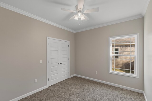 unfurnished bedroom featuring carpet flooring, a closet, ceiling fan, and ornamental molding