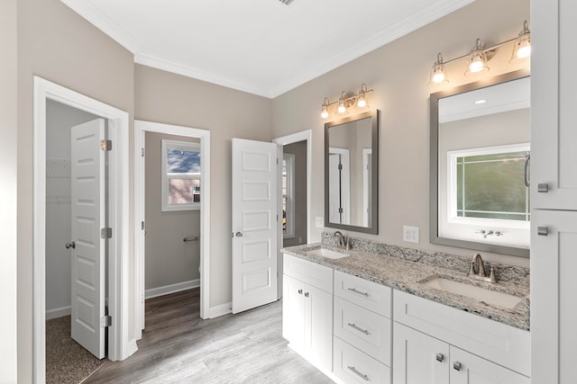 bathroom featuring vanity, hardwood / wood-style flooring, and crown molding