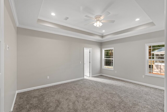 carpeted empty room featuring ornamental molding, a raised ceiling, and a healthy amount of sunlight