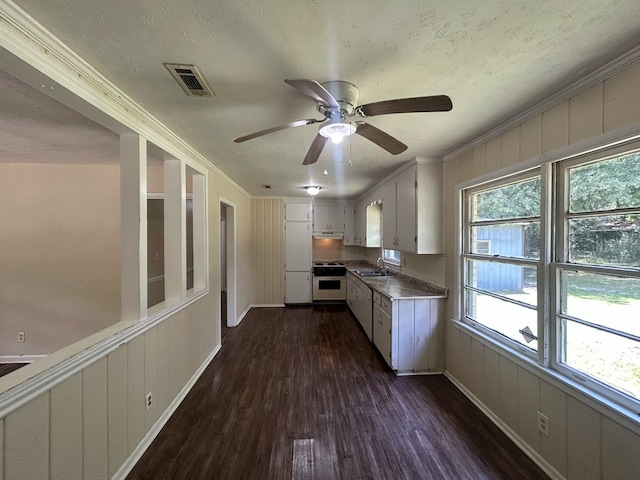 402 Reid Dr, Dothan, AL 36301 - kitchen featuring white range, dark wood finished floors, a ceiling fan, crown molding, and a textured ceiling