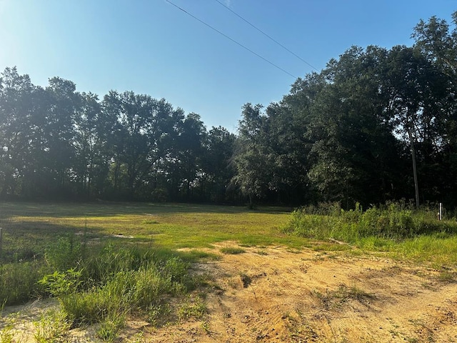 0 Bauman Rd, Ashford, AL 36312 - photo 1