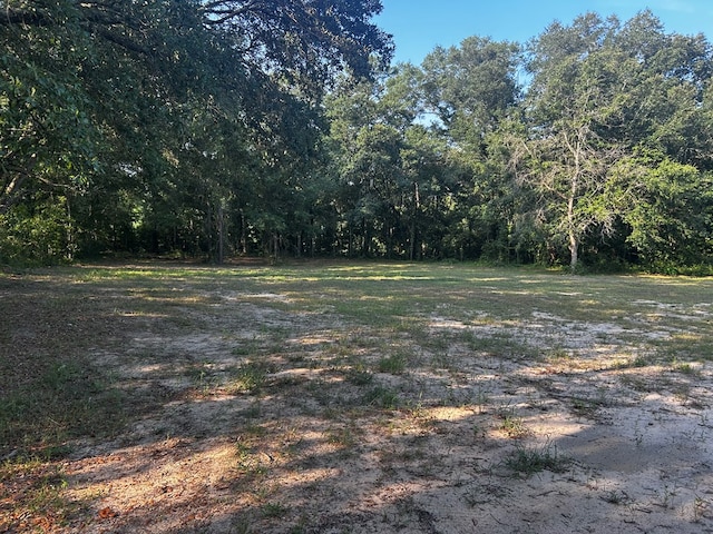 0 Bauman Rd, Ashford, AL 36312 - photo 5