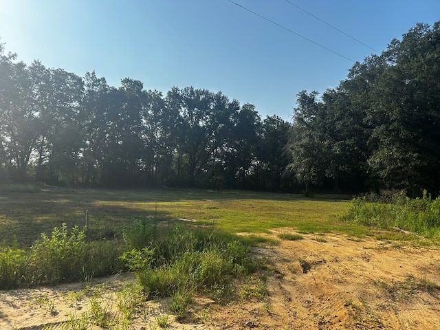 0 Bauman Rd, Ashford, AL 36312 - photo 2