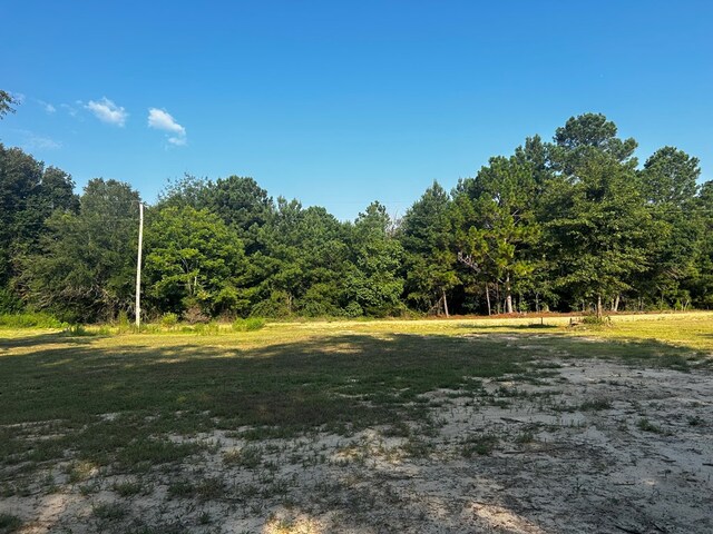 0 Bauman Rd, Ashford, AL 36312 - photo 3