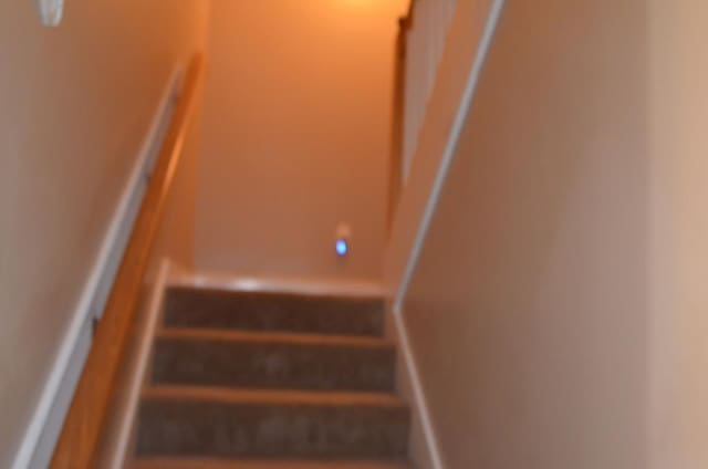 124 Whitney Ave, Enterprise, AL 36330 - view of staircase