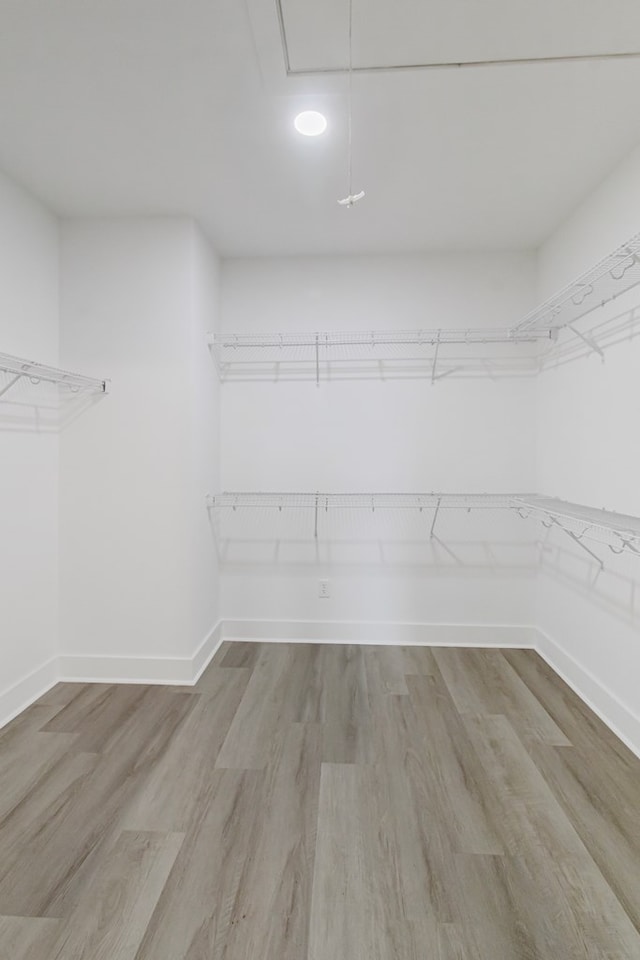 1919 Silcox Rd, Ashford, AL 36312 - walk in closet featuring wood finished floors and attic access