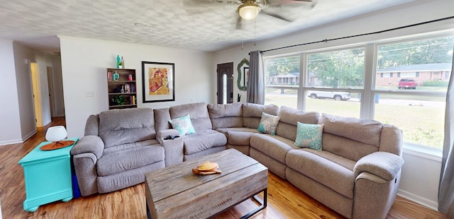 207 Seeba Dr, Dothan, AL 36303 - living room featuring ceiling fan, plenty of natural light, light wood-style floors, and a textured ceiling