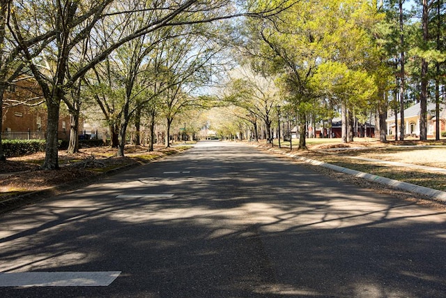 view of street with curbs and sidewalks