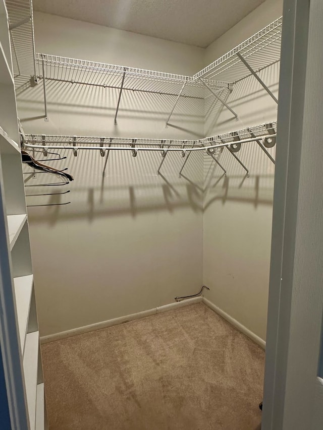 426 Walker Rd, Ozark, AL 36360 - spacious closet with carpet floors