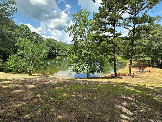 426 Walker Rd, Ozark, AL 36360 - water view