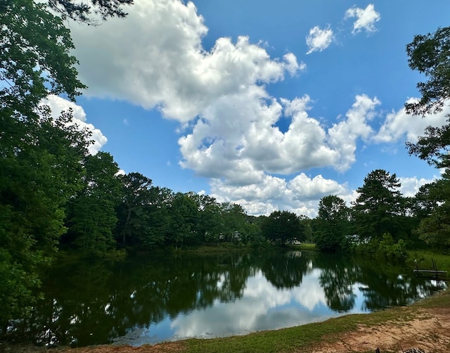 426 Walker Rd, Ozark, AL 36360 - water view with a forest