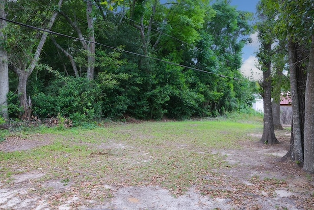 40 Caravan Ln, Kinsey, AL 36303 - view of yard