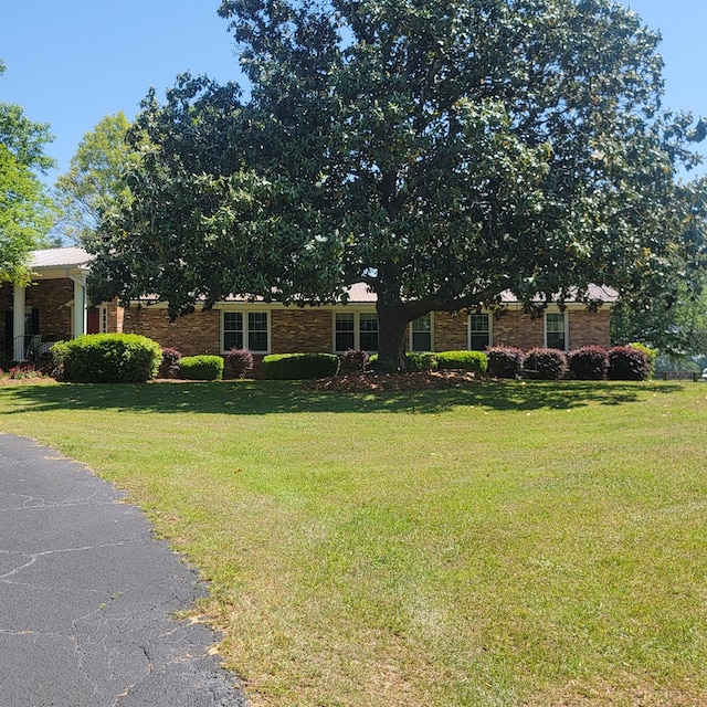 8705 County Road 99, Newville, AL 36353 - photo 51