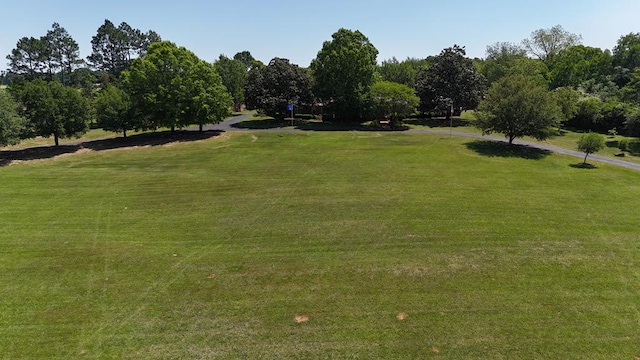 8705 County Road 99, Newville, AL 36353 - photo 67