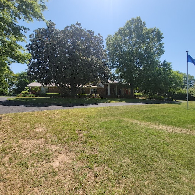 8705 County Road 99, Newville, AL 36353 - photo 52
