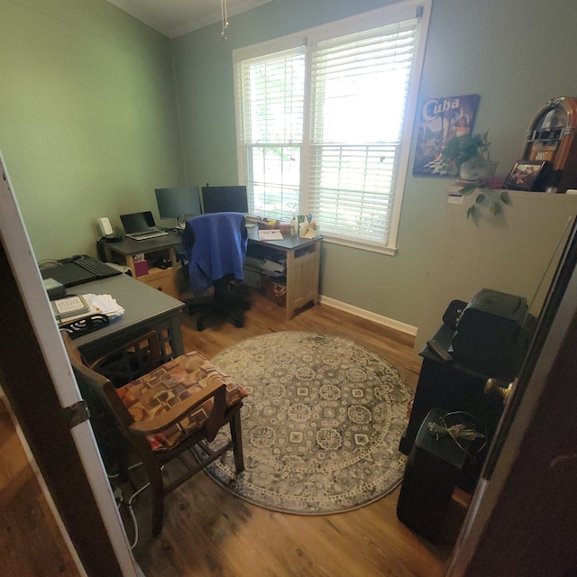8705 County Road 99, Newville, AL 36353 - photo 36