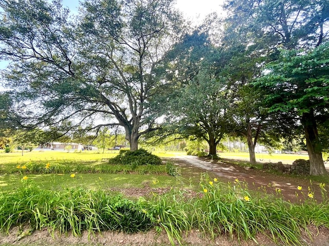 449 County Road 112, Columbia, AL 36319 - view of yard
