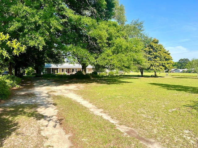 449 County Road 112, Columbia, AL 36319 - view of grassy yard featuring dirt driveway