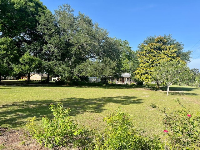 449 County Road 112, Columbia, AL 36319 - view of green lawn