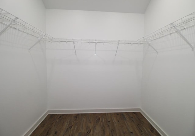 walk in closet featuring dark hardwood / wood-style flooring