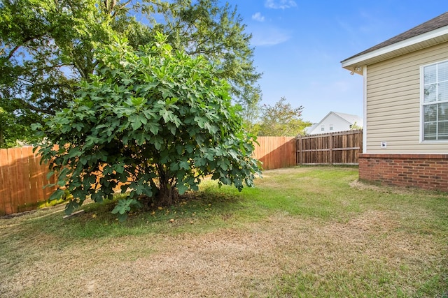 115 Brittany Dr, Dothan, AL 36301 - view of fenced backyard
