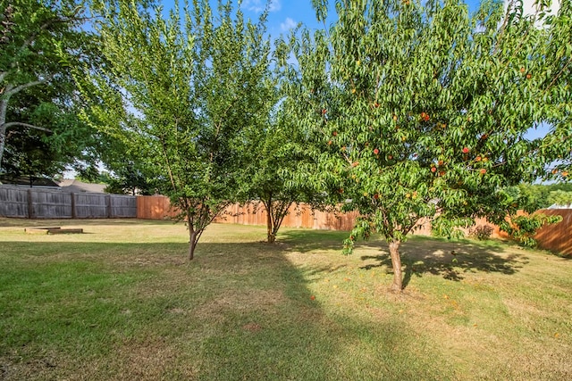 115 Brittany Dr, Dothan, AL 36301 - view of fenced backyard