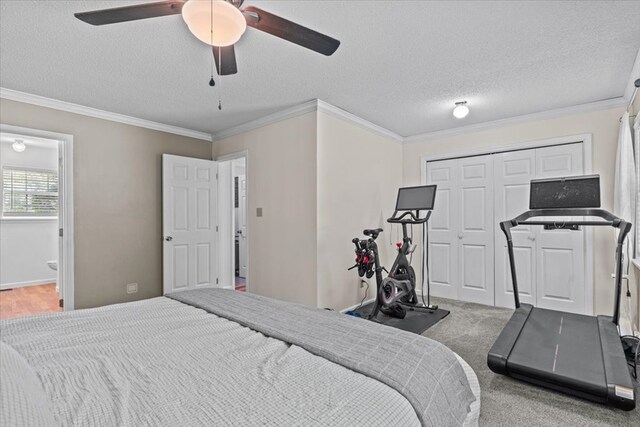 317 Holmes Rd, Newton, AL 36352 - photo 40