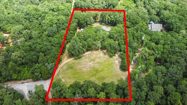 317 Holmes Rd, Newton, AL 36352 - photo 6
